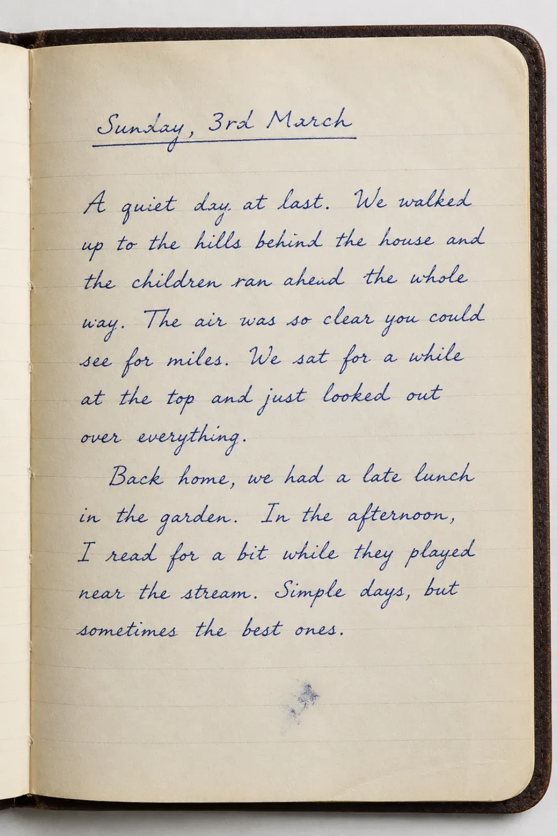 An open handwritten diary written in cursive